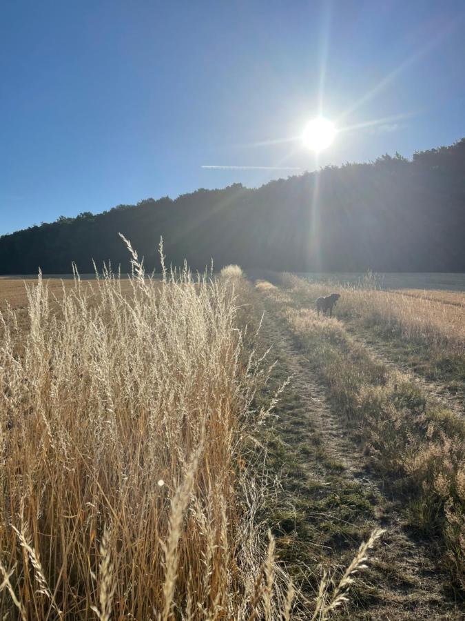Luises Ferienglueck