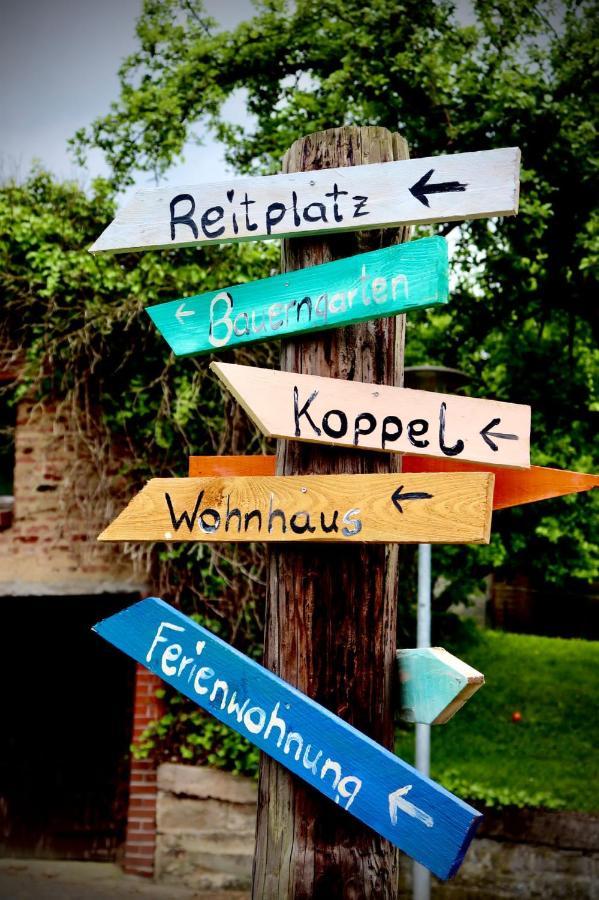 Apartment Luises Ferienglueck *